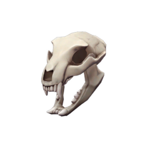 Bare Bear Bones